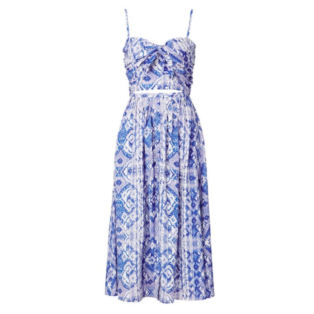 Anthropologie Blue and White Midi Dress